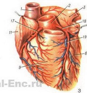 heart-3.jpg
