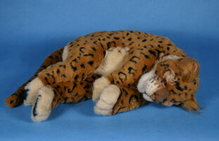 jaguar_kitten_sleeping_4681.jpg