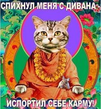 Снимок (4).JPG