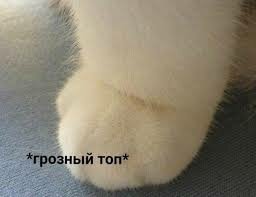 грозный топ.jpg