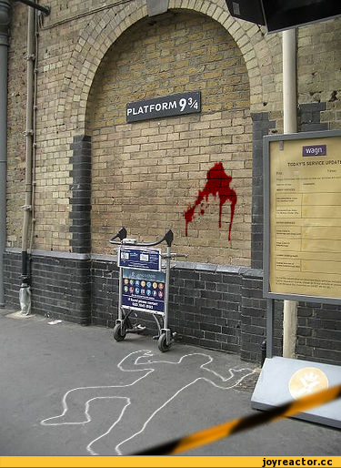 Гарри-Поттер-платформа-9-34-в-хогвартс!-539359.jpeg