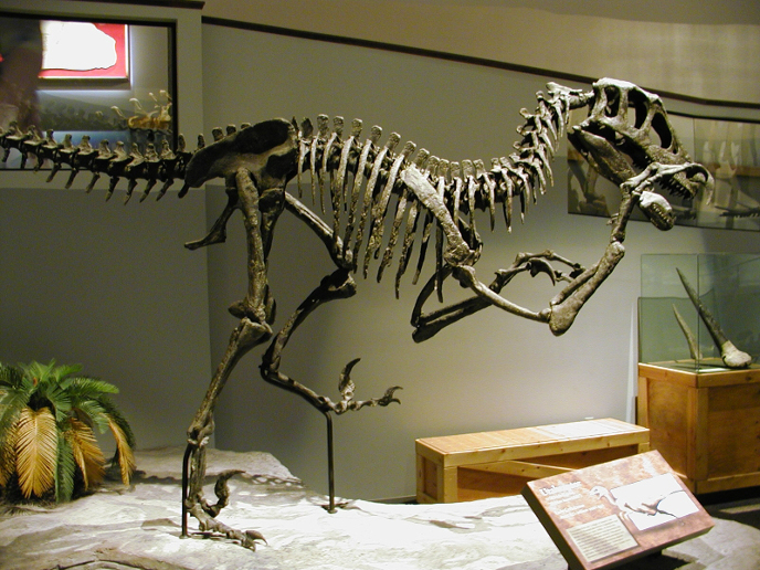 utahraptor-skelet-1-m.jpg