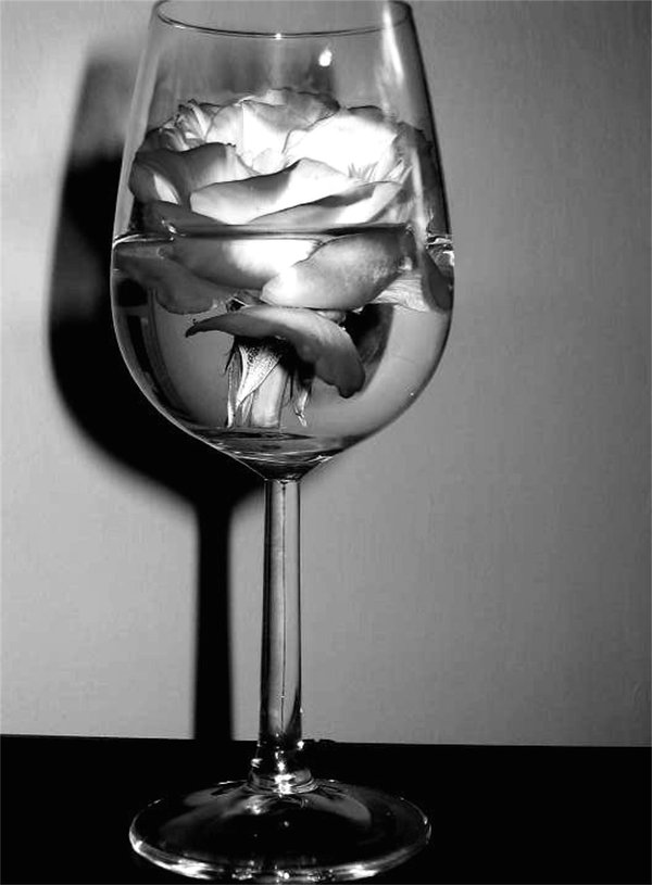 rose_in_a_wine_glass_by_redheadgirl32.jpg