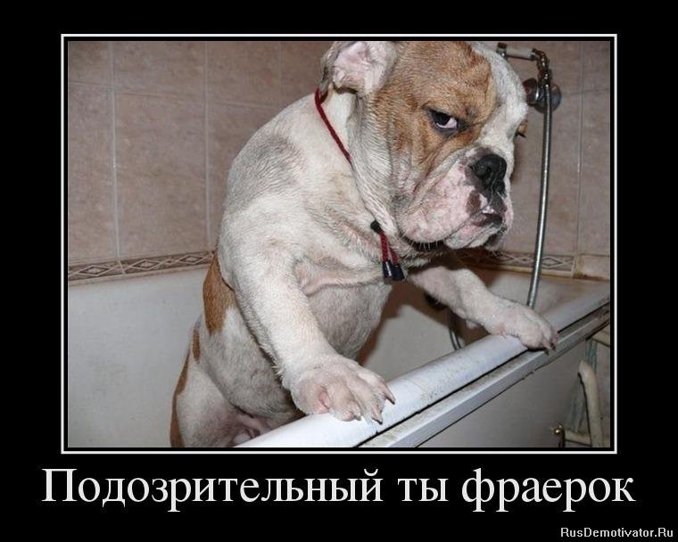 1334654769_9671884_podozritelnyij-tyi-fraerok.jpg