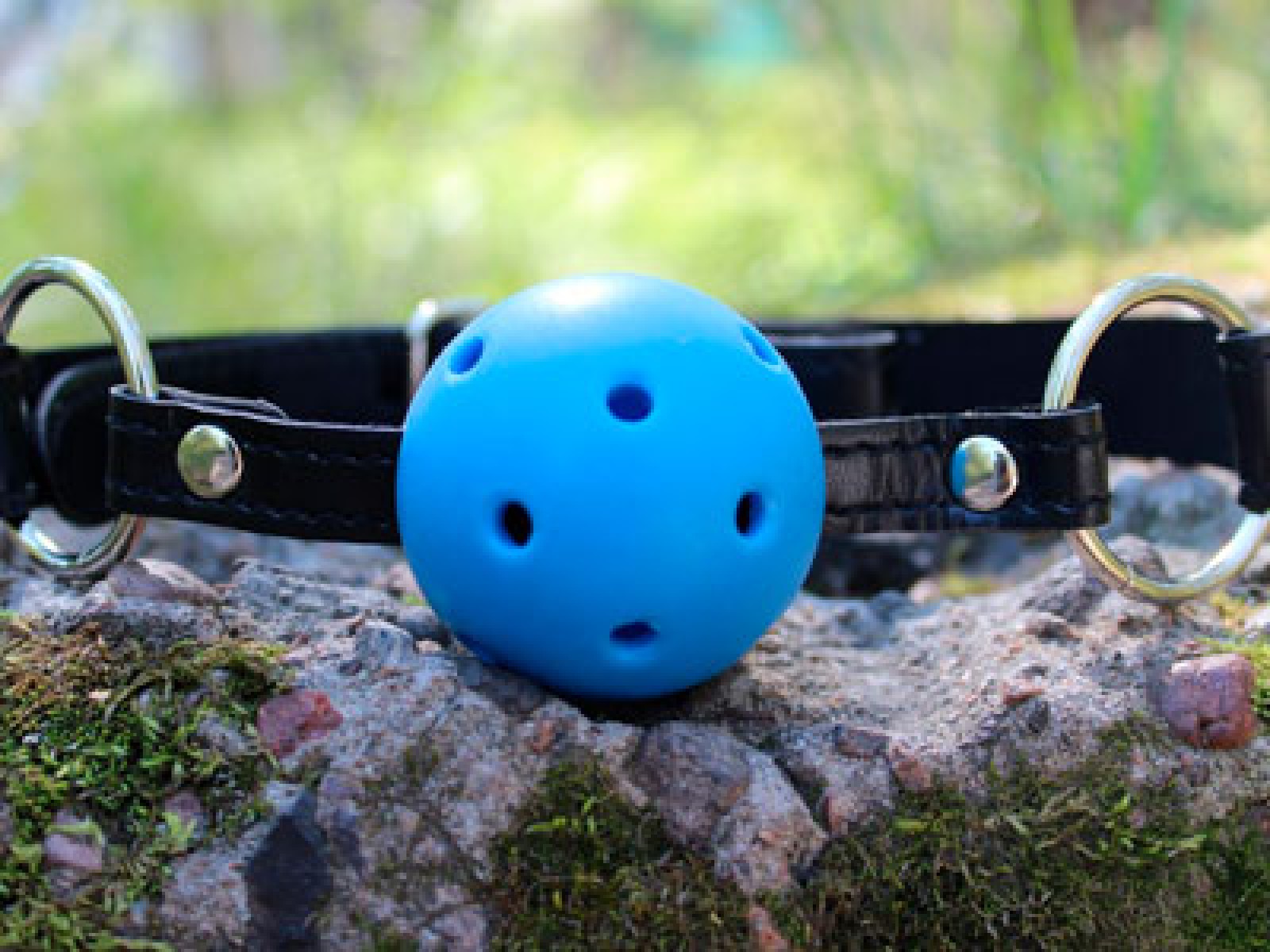 gag-with-a-blue-ball-1600x1200.jpg