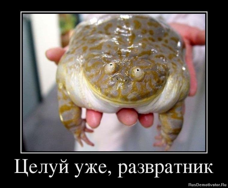 1347871161_45327798_tseluj-uzhe-razvratnik.jpg