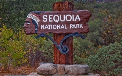 SequoiaNationalPark.jpg