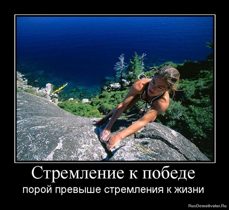 1274216278_854159_stremlenie-k-pobede.jpg