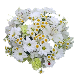 IMG-20170718-WA0026-300x300.png