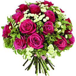 b0e76c_817d5a2bac1348b3813540135171b463.png_256