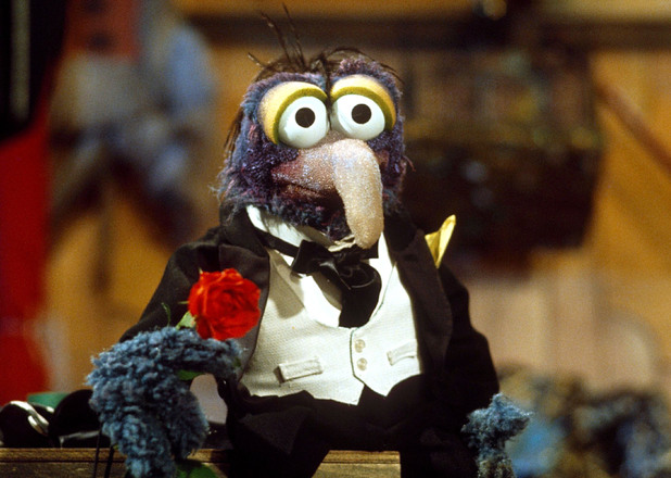 tv-the-muppet-show-gonzo.jpg