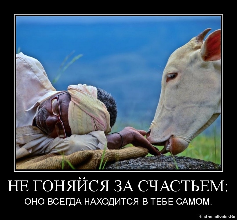 1362761013-ne-gonyajsya-za-schastem.jpg