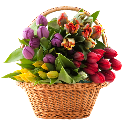 bouquet_PNG11.png