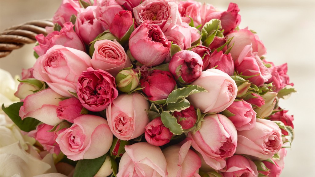 Pink-rose-flowers-beautiful-bouquet_1600x900-1024x576.jpg