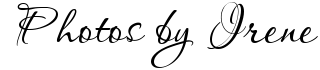 rbego55wp731yau3rbrzr3mqcw.png