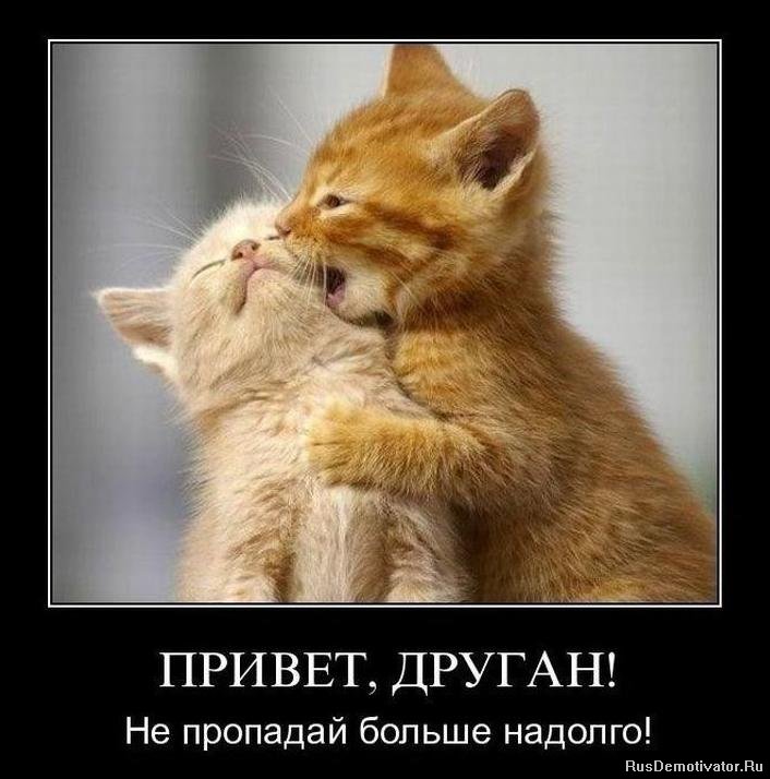 1291375739_demotivator067.jpg