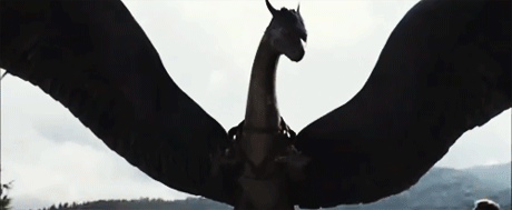 dragons5+gif.gif