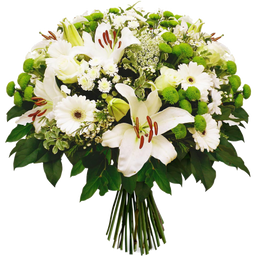 b0e76c_7a4c5af88a1b4f24b6d0b28e5e1e9172.png_256