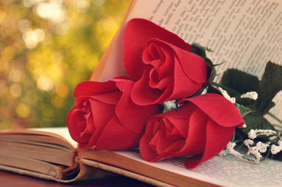 book-books-flowers-photography-Favim.com-939088.jpg