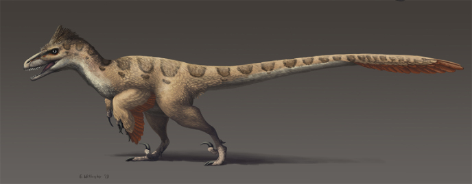 utahraptor-3-m.jpg