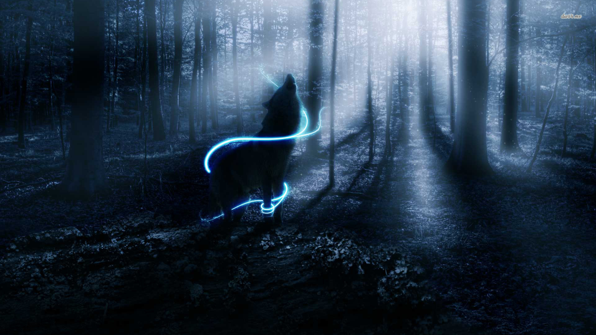 Wolf-wallpaper-wolves-32901744-1920-1080.jpg