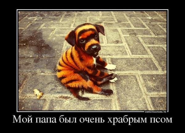 smeshnie_kartinki_135089713522102012450.jpg
