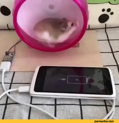 gif-hamster-phone-charge-4720263.gif