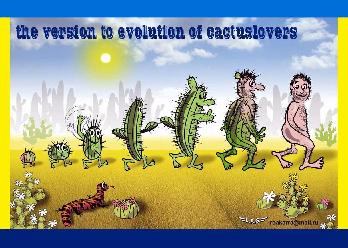 evolution_of_cactuslovers.jpg