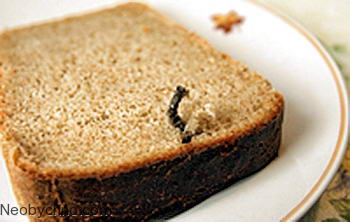 nail-in-the-bread-01.jpg