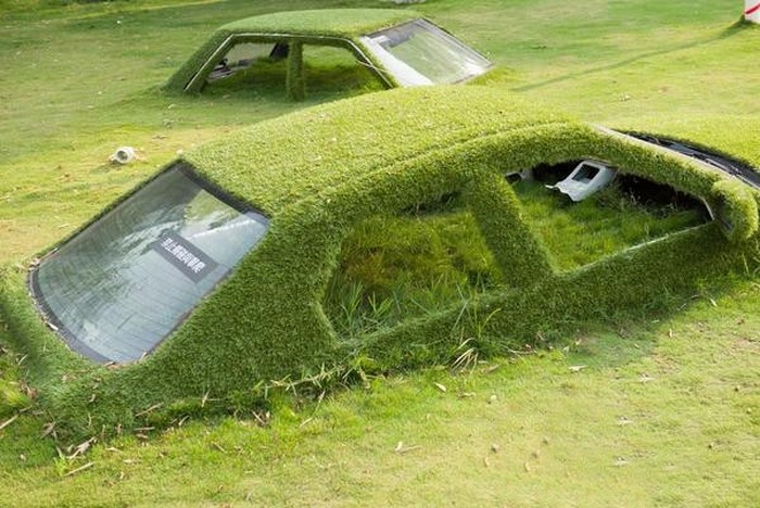 car-in-grass-004.jpg