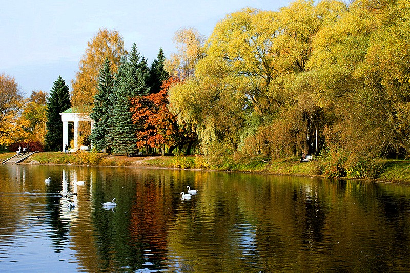lebyazhiy-pond-at-primorskiy-victory-park-in-st-petersburg.jpg